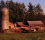 708Smallville0301.jpg