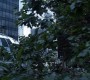 708Smallville0466.jpg