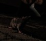 710Smallville0214.jpg