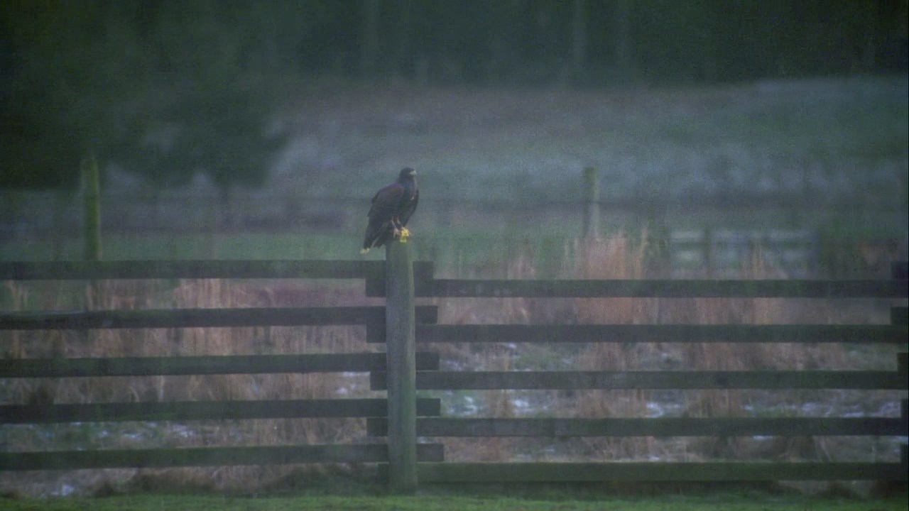 715Smallville0002.jpg