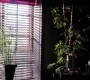 715Smallville0578.jpg
