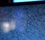 715Smallville0586.jpg