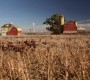 718Smallville0885.jpg