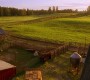 720Smallville0302.jpg
