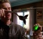 720Smallville0659.jpg