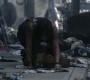 802Smallville0120.jpg