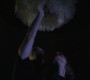 802Smallville0661.jpg