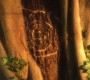 803Smallville0275.jpg