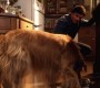 804Smallville0168.jpg