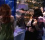 804Smallville0612.jpg
