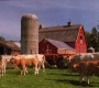 804Smallville1246.jpg