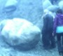 808Smallville0468.jpg