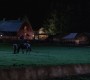 808Smallville1221.jpg