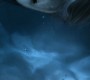 809Smallville1001.jpg
