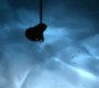 809Smallville1002.jpg