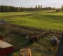 811Smallville0364.jpg