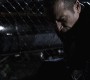 812Smallville0016.jpg