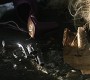 812Smallville0386.jpg