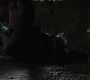 812Smallville0946.jpg
