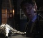 813Smallville0757.jpg