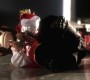 814Smallville0679.jpg