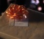817Smallville0012.jpg