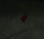 820Smallville0025.jpg