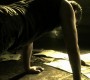 901Smallville0568.jpg
