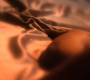 901Smallville1303.jpg