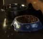 902Smallville0032.jpg