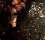 902Smallville0106.jpg