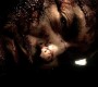 902Smallville0112.jpg