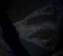 907Smallville0717.jpg