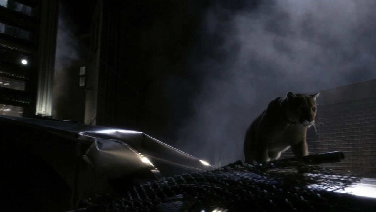 908Smallville0355.jpg