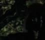 910Smallville0996.jpg