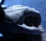 912Smallville0782.jpg