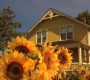 914Smallville0265.jpg