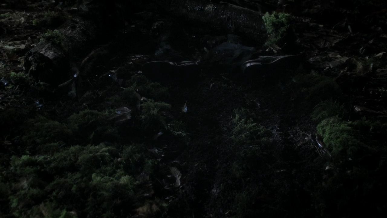 916Smallville0987.jpg