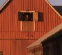 916Smallville0544.jpg
