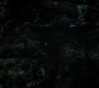 916Smallville0987.jpg