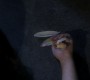 920Smallville1241.jpg