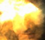 922Smallville0387.jpg