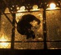 922Smallville1525.jpg