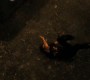922Smallville1528.jpg