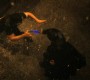 922Smallville1541.jpg