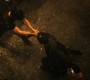 922Smallville1542.jpg