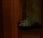 0081.jpg