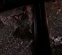 0710.jpg