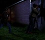 0965.jpg