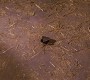 0260.jpg
